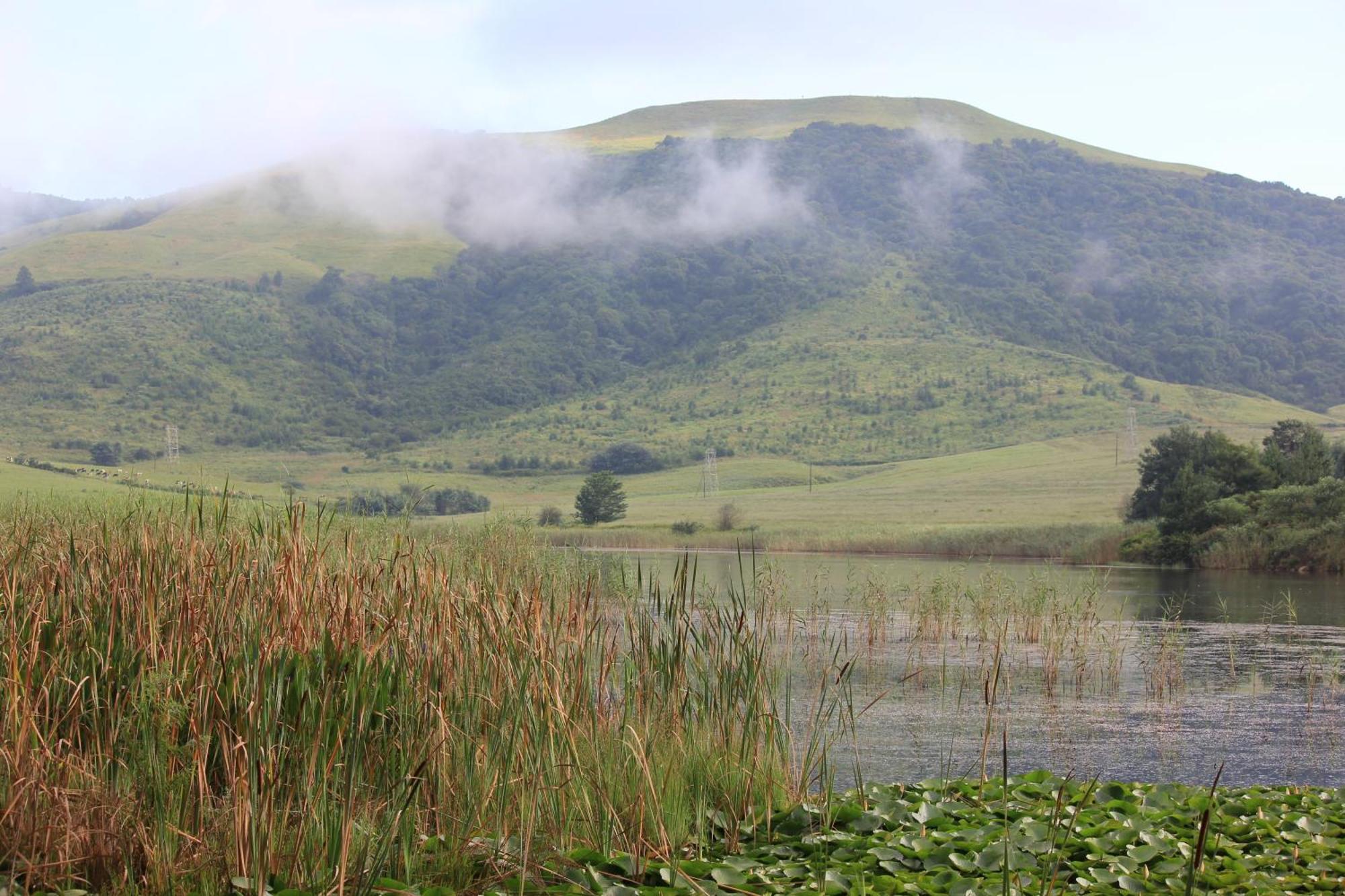 Beacon Vlei Guest Farm Hotel Balgowan Exterior photo